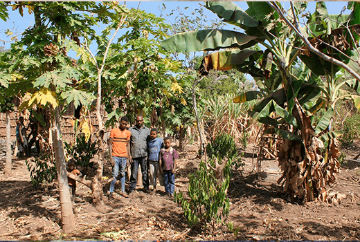 Picture of global work