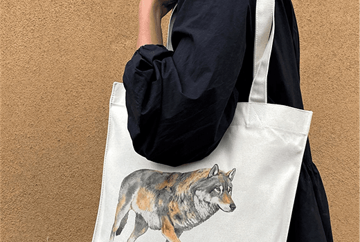 Picture of totebag